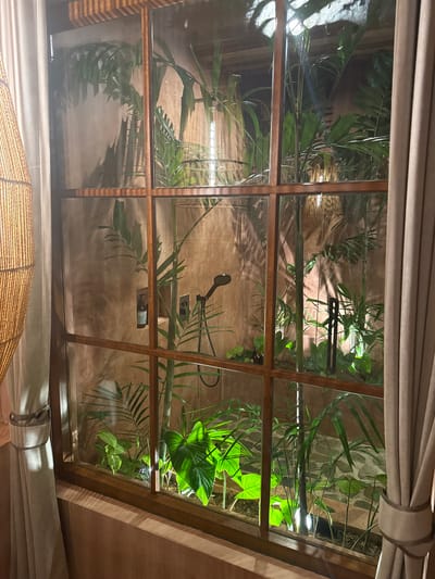 The image shows an interior view through a window, likely in a bathroom, in El Nido, Philippines. The window has a wooden frame and is divided into multiple panes. Lush greenery, including various types of plants and foliage, is visible outside the window. Inside the bathroom, a showerhead and toiletries are mounted on the wall. A woven lampshade is partially visible at the bottom of the frame, and curtains are draped at the top and sides of the window. The overall scene suggests a tropical or eco-friendly accommodation setting.