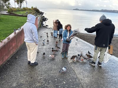 The photo was taken in Puerto Varas, Chile, depicting several people interacting with birds on a concrete path near a body of water. A person in a grey hoodie and tan pants stands to the left of the frame, back to the camera. A girl in a blue jacket and brown pants is holding a pigeon in her hands, smiling. To her right, a person in a black jacket, grey pants, and a grey beanie is extending their hand towards the birds. In the background, a group of three people is standing further down the path. Multiple pigeons and ducks are scattered around the people on the path. The path is wet and leads towards a dark sand beach and the water. Beyond the water, land and cloudy sky are visible.