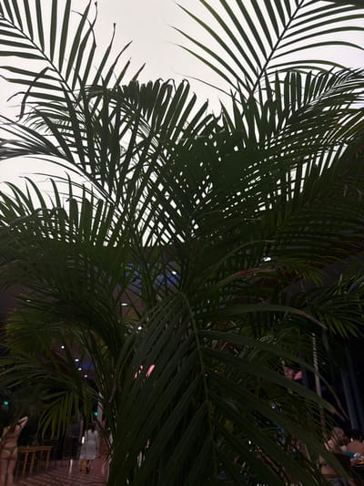 The image depicts an indoor tropical leisure facility, identified as Therme București in Săftica, Romania. Dense, dark green palm fronds fill the majority of the foreground, silhouetted against a bright, possibly overhead, light source. Through and beyond the foliage, a tiled floor of reddish-brown hue is discernible. Multiple individuals are present in the dimly lit background, illuminated by artificial blue, pink, and purple lighting emanating from unseen fixtures. On the far left, a person in a green bikini is seen from behind. Centrally, another individual in a light-colored dress or cover-up walks away from the viewer. Additional blurred figures, some in swimwear, are visible further right. Partially visible wooden tables and chairs indicate a seating area within the facility.