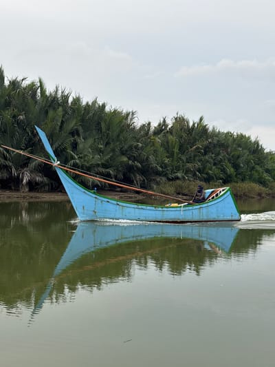 An eye-level, medium shot captures a light blue, wooden boat with a pointed bow, moving right to left across murky green water. The boat has a slender profile and a distinctive tall, blue, fin-like structure at its bow. It is adorned with green trim along its upper edge and red trim near the waterline. Orange ropes are strung from the bow. A single person, wearing dark clothing and a head covering, sits in the middle of the boat, holding a wooden oar. The boat is leaving a white wake behind it. The background is dominated by a dense wall of lush green palm trees, suggesting a tropical environment. The sky above is overcast and light gray. The reflection of the boat and the surrounding trees is visible in the still water. The scene is situated in Deah Pangwa, Indonesia.