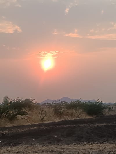 The image presents an outdoor landscape scene at either sunrise or sunset in Kottalapalli, India. The sky occupies the upper two-thirds of the frame, dominated by a brilliant, circular sun positioned in the upper-left quadrant, emitting a strong yellow-orange light and radiating warmth across a predominantly orange-pink and pale gray sky. Scattered, diffuse clouds are visible, particularly above and to the right of the sun. Below the horizon line, a faint silhouette of distant, undulating hills or mountains spans the central and right portions of the midground. The lower third of the image features a foreground comprising a dark, unpaved ground surface, exhibiting visible tire track impressions. This dark ground is bordered by lighter, sandy terrain. Directly behind the dark foreground, a horizontal band of scrub vegetation extends across the frame. This vegetation consists of both dark green bushes, some with small yellow floral accents on the left, and drier, yellowish-brown shrubs. Sparse, light-colored debris is scattered within the vegetation and on the ground. No individuals, structures, or animals are visible.