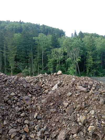 The image depicts a natural scene with a foreground of rough, brown rocks and gravel, piled high. Behind the rocks, a dense forest of green trees dominates the mid-ground, with various species of deciduous and coniferous trees creating a thick canopy. The trees extend up a gentle slope towards the horizon, where the sky is a bright, overcast white. The location is identified as Bykov, Russia. There are no people or visible signs of human activity in the image, aside from the pile of rocks which may suggest recent excavation or construction. The overall impression is of a remote, natural landscape.