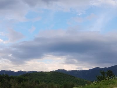 The image depicts a wide, panoramic view of a mountainous landscape under a cloudy sky. The foreground shows the tops of green trees and some white wildflowers. Behind the trees, rolling green hills are visible, covered in dense vegetation. Further in the background, darker, steeper mountains rise, their peaks silhouetted against the sky. The sky itself is a mix of light blue patches and large, dark grey clouds, suggesting an overcast or changing weather condition. The scene appears to be a natural, undeveloped area. There are no people or man-made structures clearly visible in the image. The location is identified as Қотырбұлақ, Kazakhstan.