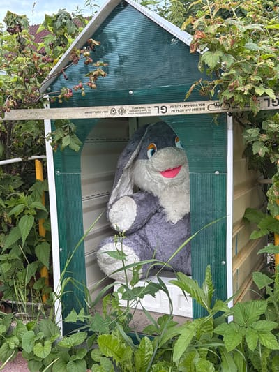 In the city of Medvedchikova, Russia, a plush toy rabbit with gray fur, blue and orange eyes, and a wide pink smile sits inside a small, green and white dog house structure. The structure has a peaked, translucent green roof and is partially obscured by overgrown green foliage, including berry bushes with dark berries. The dog house is constructed of corrugated plastic and wood. The toy rabbit is positioned centrally within the opening of the dog house, its body visible from the chest up. The environment appears to be an outdoor setting, possibly a garden or backyard, with a cloudy sky visible above.