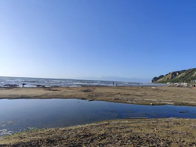 The image presents a wide, sandy beach scene in Agios Stefanos, Greece, under a clear, bright azure sky that transitions from a lighter hue at the horizon to a deeper blue overhead. In the far distance, a hazy line of mountains appears as dark silhouettes stretching across the central horizon. The Ionian Sea occupies the middle ground, characterized by moderate to strong waves breaking along the shoreline, exhibiting white foam and a deep blue-green color.
The foreground is dominated by a wide sandy beach, heavily strewn with dried seaweed, driftwood, and other organic debris. A calm, dark blue-green freshwater pool or stream runs parallel to the coastline, reflecting the sky and containing scattered floating algae and plant matter.
Two indistinct human figures are visible near the water's edge in the mid-left: one person in dark attire is bending over, seemingly inspecting the sand or collecting items; further right, two smaller figures, likely an adult and a child, walk along the wet sand. To the far right, a steep, eroded cliff face, covered in sparse green vegetation, borders the beach. At its base, several white beach umbrellas and sun loungers are arranged, indicating a recreational area. One red kayak or small boat is partially visible among the beach furniture.