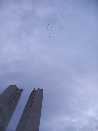 The image depicts a cloudy sky with two tall, grey structures extending upward from the lower right corner. A flock of birds is scattered across the sky to the left of the structures. The scene has a somber, quiet feel.