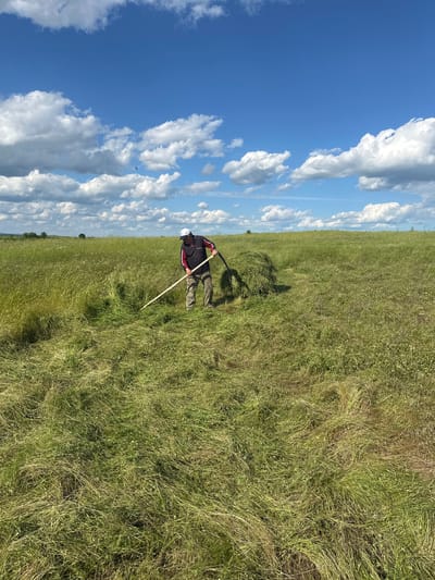 A man stands in a grassy field beneath a blue sky dotted with white clouds. He is using a long-handled scythe to cut the grass. The location is Bryastovets, Bulgaria.