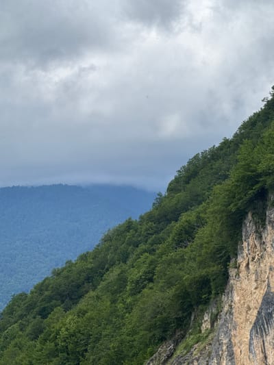 The image depicts a steep, verdant mountainside in Orbeli, Georgia, under a cloudy sky. The foreground is dominated by a sheer rock face on the right, exhibiting shades of tan, gray, and black, with patches of green vegetation clinging to its surface. The slope to the left of the rock face is densely covered with lush green trees, creating a thick canopy. In the background, layers of blue-hued mountains recede into the distance, partially obscured by mist and low-lying clouds. The overall atmosphere is subdued and overcast, suggesting a cool or potentially damp day. There are no people or animals visible in the scene.