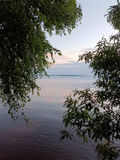 The image depicts a serene natural landscape framed by foliage. In the foreground, dark green leaves from two trees hang into the frame, one on the left and one on the right, creating a natural border. These branches are positioned at the top and sides of the image, partially obscuring the view of the water and the horizon.
The central focus of the image is a wide body of calm water, likely a river or a lake, reflecting the soft hues of the sky. The water's surface is mostly smooth, with subtle ripples indicating a gentle movement. In the distance, a long, narrow strip of land, possibly an island or the far shore, is visible on the horizon.
The sky above is a pale blue, transitioning into soft pastel colors of pink and orange near the horizon, suggesting either dawn or dusk. A few wispy clouds are scattered across the sky, further enhancing the tranquil atmosphere. The overall impression is one of peace and natural beauty.
The metadata does not provide specific location information within the city of Горы, Russia, beyond the general geographical context.