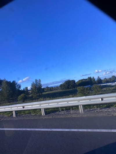 The image shows a view from a vehicle, looking out towards a roadside scene. The perspective is tilted, suggesting the photo was taken from a moving car or by someone holding their phone at an angle. In the foreground, a portion of the road is visible, marked by a white line. To the left of the road is a metal guardrail, typical of highway or road infrastructure. Beyond the guardrail, a green, grassy verge with some small plants is seen, leading to a line of trees. The trees are lush and green, indicating a time of year with sufficient foliage, likely spring or summer. In the distance, more trees and vegetation can be observed, suggesting a rural or semi-rural setting. The sky is a clear, vibrant blue, with a few scattered white clouds. The lighting suggests it is daytime, possibly late morning or afternoon, given the brightness and the way shadows might be cast, although the angle of the shot makes it difficult to ascertain precise shadow direction. The overall impression is of a serene drive through a natural landscape under a pleasant sky. There are no people or animals visible in the frame. The location context provided is "Заглядовка, Russia."