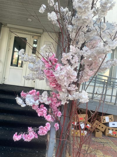 The image shows artificial cherry blossom branches, with clusters of white and pink flowers, draped in front of a building. Some branches are bare, with red-brown stems. In the background, there is a metal fire escape, and on the ground to the right, several cardboard boxes are stacked. One box has a red and white label with Cyrillic text that reads "119 176". Another box has an arrow pointing upwards and some Cyrillic text.
The building appears to be a shop or store, with a window or door visible behind the branches. A white sign on the building has Cyrillic text that appears to read "Lavka" and a time "05:00-23:00". The overall scene suggests an outdoor setting, possibly a storefront or delivery area. The lighting is bright, suggesting daytime. The presence of boxes implies either a delivery or a business preparing for or closing down. The artificial flowers add a decorative element to the scene.