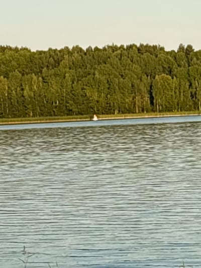 The image depicts a body of water, likely a lake or river, with a dense line of trees forming a backdrop along the far bank. The water exhibits a rippled texture, suggesting a gentle breeze or current. In the middle distance, a small boat with a red and white canopy is visible on the water. The sky above is a pale, hazy hue, characteristic of daytime with a slight overcast or late afternoon light. The overall scene suggests a natural, tranquil environment.