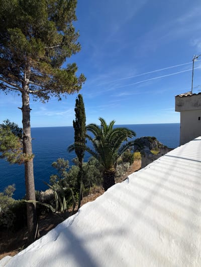 The image presents an elevated coastal view in Palaiokastritsa, Greece, under a clear, bright blue sky. Two faint, white aircraft contrails are visible horizontally across the upper mid-section of the sky. The expansive Mediterranean Sea, a deep royal blue, occupies the mid-ground, extending to a defined horizon line.

In the left foreground, a large pine tree with a textured, brown trunk extends from the bottom of the frame to the top, displaying dense green needles and several pinecones. Below and to its right, on a sun-drenched, sloped earthen bank, several tall, columnar green cacti are visible. Further to the right, a slender, dark green cypress tree stands vertically, positioned between the pine tree and a smaller palm tree whose green fronds are partially visible.

The terrain slopes downward towards the sea, covered with various green shrubs and smaller trees. A rocky outcrop, partially vegetated, extends into the sea in the mid-right section of the image.

The lower right foreground is dominated by a broad, textured white wall or terrace, which angles upwards from left to right across the frame. Distinct parallel shadow lines, consistent with an unseen railing structure, are cast upon its surface. In the upper right corner, a portion of a light-colored building with a terracotta tiled roof is visible, from which a metal pole extends upwards, supporting a television antenna against the blue sky. The scene is brightly illuminated by direct sunlight, casting clear shadows. No people are present in the image.