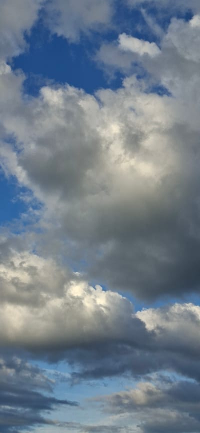 The image is a low-angle, vertical shot of a cloudy sky. The clouds are a mix of white and dark gray, with some areas of bright sunlight breaking through. The sky is a vivid blue in the patches where it is visible between the clouds. The overall impression is dramatic, with the light and shadow play creating depth and texture. The lighting suggests it is either early morning or late afternoon, with the sun low on the horizon. There is no specific indication of the location beyond the general context of a sky view. No people, objects, text, or specific events are depicted. The weather appears to be dynamic, with a mix of sun and cloud, possibly hinting at changing conditions.