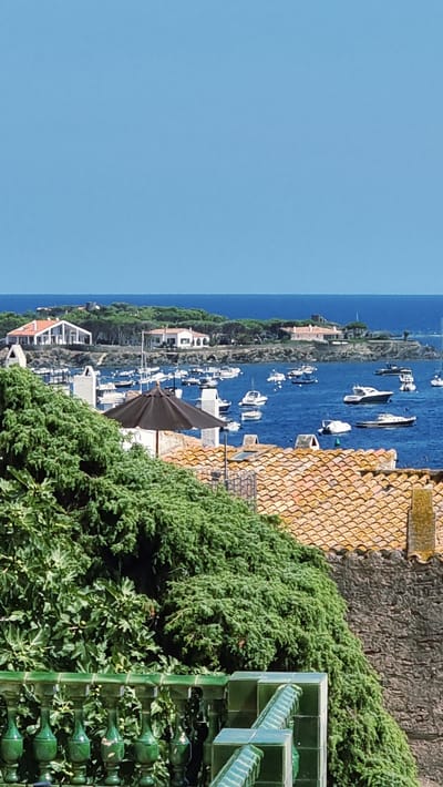 The image shows a view of a bay in Cadaqués, Spain, on a clear, sunny day. In the foreground, there is a lush green bush and a green tiled railing. Behind the bush, there are terracotta tiled roofs and stone walls. The middle ground is occupied by a bay filled with numerous boats, ranging from small fishing boats to larger yachts. White houses with orange roofs are visible on the shore, nestled among green trees. The background features the blue Mediterranean Sea and a clear blue sky. The overall scene depicts a picturesque coastal town.