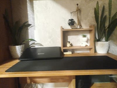 The image shows a desk with a laptop, a large black mousepad, and two potted plants. There is also a small wooden shelf unit with decorative items, including a small figurine and a lantern. The scene appears to be indoors, possibly in a home or office setting. There is no information available to determine the location within the city of Tomskoye, Russia.