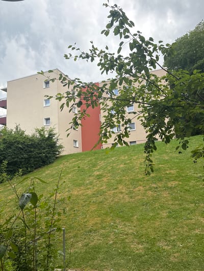 The image displays a residential building with a light beige facade and a section painted in a reddish-orange hue. The building has multiple floors, each with several windows that appear to be uniformly sized and square-shaped. Green trees with dark berries are visible in the foreground, with some branches hanging over the building. To the right of the building is a grassy lawn. The sky above is overcast with clouds. The scene appears to be an exterior view of an apartment complex or similar dwelling, likely in a suburban or urban setting given the presence of the building and lawn. The time of day seems to be daytime, and the weather is cloudy. There is no visible text in the image.
