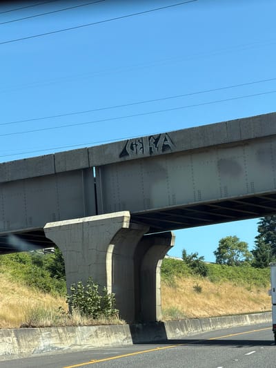 The image depicts an exterior view of a highway overpass from a vehicle's perspective. The overpass is constructed of metal and concrete. The metal structure of the overpass is visible on the left side of the image, showing a series of rivets and a patch of graffiti. The concrete support structure of the overpass is on the right, exhibiting cracked surfaces.
The scene is set outdoors with a clear blue sky above. The overpass spans over a section of dry, grassy terrain and some green bushes and trees. A road, marked with a yellow line, is visible on the far right, suggesting the vehicle is traveling on a road adjacent to the overpass. The orientation of the image is such that the overpass appears to be angled upwards from the viewer's position.
There is no discernible activity or event taking place, beyond the implied movement of the vehicle from which the photo was taken. The time of day appears to be daytime, given the bright sunlight and clear sky. The weather seems to be fair. No people are visible in the image. The graffiti on the overpass is stylized and appears to read "AFEA" or something similar, though it is difficult to decipher definitively. The overall impression is of a typical roadside scene in an urban or suburban area.