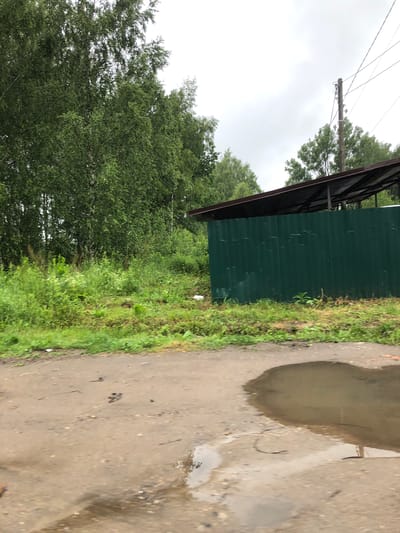 The image depicts a rural or suburban landscape in Safonovo, Russia. In the foreground, a muddy dirt road features a large puddle reflecting the overcast sky. The road is partially wet and shows some scattered debris. Beyond the road, a dense line of lush green trees forms a natural barrier, with taller trees visible in the distance. To the right of the trees, a tall green corrugated metal fence encloses an area, topped by a dark metal roof supported by visible metal beams, suggesting a covered structure or shelter. A wooden utility pole with wires stretches across the upper right portion of the frame, indicating the presence of infrastructure. The overall atmosphere is muted due to the cloudy weather.