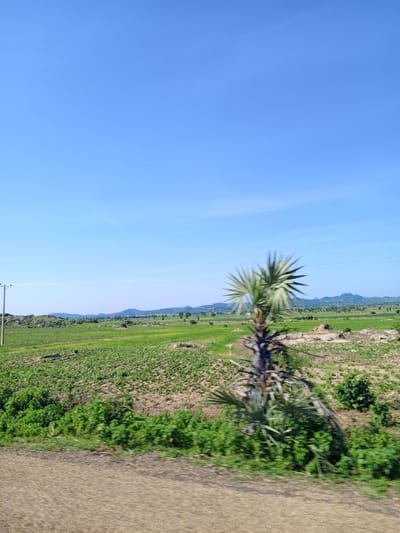The image shows a rural landscape in Jama'a, Nigeria, under a clear blue sky. In the foreground, a dirt road runs diagonally across the bottom of the frame. To the left of the road, a field of green crops stretches into the middle ground, with rows of young plants visible. A single wooden utility pole stands in the far left of the image. In the middle of the scene, a palm tree with sparse, spiky fronds is slightly blurred due to motion. Beyond the fields, rolling hills with scattered trees and rocky outcrops dot the horizon, with larger, hazy mountains in the distance. The environment appears dry and sunny, typical of a Nigerian rural setting. There are no people or animals visible in the image.