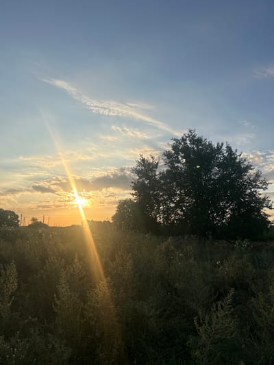 The image depicts a rural landscape at sunset, with the sun’s rays cutting through the sky. The foreground is filled with tall, dry grass and vegetation, some of which is illuminated by the setting sun. In the middle ground, a large, dark silhouette of a tree dominates the right side of the frame. Further to the left, there are power lines and utility poles. The sky is a blend of blue and orange hues, with scattered clouds. The overall atmosphere is serene and natural, suggesting a peaceful evening in the countryside. The location is specified as Dzherokay, Russia. There are no people visible in the image.
