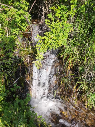 The image shows a small waterfall cascading down rocks and moss-covered earth, surrounded by lush green vegetation and tall grasses. The water is white and foamy where it falls and pools at the bottom, with sunlight dappling through the leaves. Thorny branches hang over the water. The scene appears to be in a natural, outdoor setting, likely a woodland or stream area. No people are present. The location is identified as Egnatia Municipal Unit, Greece.