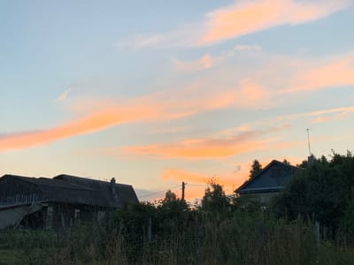 The image shows a sunset scene in the village of Surovatikha, Russia. In the foreground, tall, dry grass and dense green foliage obscure the lower portions of two old, dark-colored buildings. The building on the left is partially covered in a gray material and appears to be in a state of disrepair, with a damaged roofline. The building on the right is a house with a dark blue roof and a small attic window, partially hidden by thick trees. A chimney is visible on the roof of the house on the right. In the distance, an antenna is mounted on the roof of the house on the right. The sky above is a soft gradient of pale blue near the horizon, transitioning to a clear blue higher up, with streaks of vibrant orange and pink clouds scattered across it, indicative of a sunset. The overall impression is of a rural, somewhat overgrown landscape under a colorful evening sky.