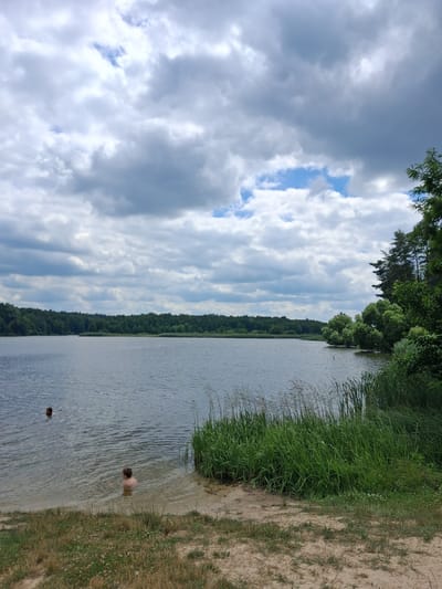 In Reutyntsi, Ukraine, a tranquil lake scene unfolds under a partly cloudy sky. The water's surface is a placid gray, reflecting the dramatic cloud formations above, which range from soft white to ominous dark gray. A dense line of green trees and foliage forms the distant shoreline, with reeds and tall grass lining the nearer bank. In the water, two individuals are visible. One person, seemingly a child, is submerged up to their shoulders near the sandy shore. Further out, another person is swimming, their head visible above the water. The foreground consists of a sandy beach dotted with dry grass and sparse vegetation. The overall impression is one of a peaceful, natural setting ideal for recreation.