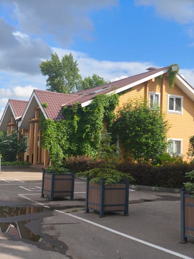 The image depicts a section of a building with a wooden exterior painted in a warm, yellow hue, featuring a brown tiled roof. The building is partially covered by lush green ivy, which climbs the walls and drapes over the roof. Several windows are visible, some with white frames. In front of the building, there is a paved area, possibly a parking lot, with white markings indicating parking spaces. Several large, dark-colored planters with a wood-grain pattern are placed on the pavement, each containing small evergreen trees. In the foreground, a puddle of water reflects the surroundings, including the building's roofline. The sky above is a clear blue with scattered white clouds. Trees and other foliage surround the building, creating a natural, somewhat rustic atmosphere. The scene appears to be located in Zimnyaya Gorka, Russia, given the context.