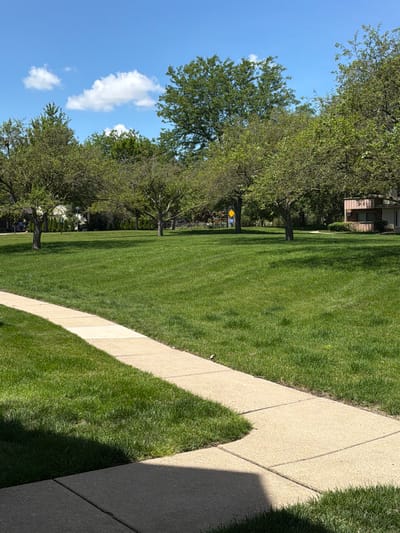 This is a vertical, eye-level, outdoor shot taken on a sunny day. The scene depicts a well-maintained park-like area with a paved walkway bordering a lush, green lawn. Several mature trees with full canopies of green leaves are scattered across the lawn, casting dappled shadows. In the background, glimpses of buildings with brown siding and windows are visible amongst the trees. A bright blue sky with a few wispy white clouds dominates the upper portion of the frame. The overall impression is one of a peaceful and serene environment. The image is composed such that the walkway leads the viewer's eye diagonally across the frame, from the lower right to the upper left. The shadows suggest the sun is positioned to the left of the frame, likely mid-morning or late afternoon. The environment appears to be a residential area or a public park in Vernon Hills, USA. No people or animals are visible in the frame. There is no visible text in the image.