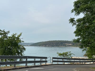 The image captures a scenic view of the sea and a tree-covered hill across the water, with a road and a metal guardrail in the foreground. The scene is located in Tar, Croatia.
In the foreground, a grey asphalt road curves to the right, marked with a white arrow indicating a turn. A metal guardrail runs along the left side of the road, separated by a small patch of dry grass. Beyond the guardrail, the blue sea stretches out, calm and reflecting the overcast sky. On the right side of the road, the guardrail continues and appears to be interrupted by a small stone path leading down towards the water. To the right of this path, a young tree with green leaves is visible.
In the middle ground, the sea is dotted with a few small, dark figures that appear to be people in the water. A white kayak or small boat is also visible on the water's surface. Across the bay, a large, verdant hill rises, covered in dense green trees. A distant bridge with white arches can be seen spanning across the water in the far left background, and a few buildings are faintly visible nestled on the slopes of the hill.
The sky is a uniform light grey, suggesting an overcast day. On the far right of the image, a large tree with dense green foliage frames the view, its branches reaching towards the sky. On the far left, another tree with similar green leaves is partially visible, contributing to the natural setting of the scene. The overall impression is one of a tranquil coastal landscape.