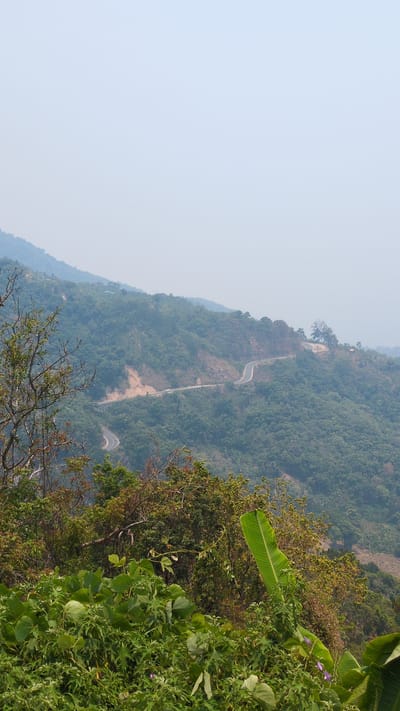 A landscape view of a winding road cutting through a heavily forested hillside near Lâm Sơn, Vietnam. The road ascends steeply, with bends visible against the backdrop of the lush green trees. The vegetation in the foreground is dense, with banana leaves. The sky is lightly clouded.
