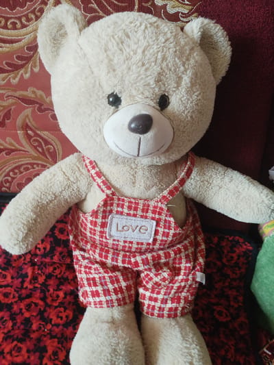 A light beige, plush teddy bear is positioned upright, facing the camera. The bear is wearing red and white checkered overalls with straps, and a white rectangular patch on the bib reads "Love" in cursive lettering. The bear is sitting on a surface covered with a dark red fabric featuring a repeating floral pattern of red roses and black outlines. Behind the bear, the background consists of a burgundy-colored, textured fabric with an ornate, paisley-like pattern in gold and lighter red hues. The lighting is even, indicating an indoor setting, likely a home environment. There are no people or specific landmarks visible that would indicate a location in the city of Социализм, Kyrgyzstan.