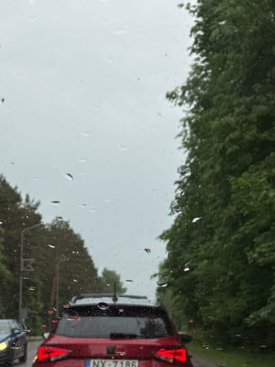 The image captures a scene through a rain-splattered vehicle windshield on an overcast day in Valdlauči, Latvia. Raindrops are clearly visible across the entire glass surface, indicating active precipitation. The perspective is from the interior of a vehicle looking forward, presumably stationary or moving slowly in traffic.
In the immediate midground, a red SUV is directly ahead, its rear facing the viewer. The vehicle's brake lights are illuminated, suggesting it is braking or stopped. A partial view of its license plate, "NX-7186", is discernible on the rear bumper. To the left of the red SUV, a dark-colored vehicle (possibly blue or black) is partially visible, with its front yellow headlight illuminated.
The background on the left side of the road features a line of trees and a street light pole with a road sign attached. The background on the right side of the road is dominated by a dense, tall wall of green foliage, consisting of trees and bushes. The sky overhead is uniformly grey and overcast. No people are explicitly visible.