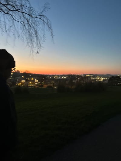 A landscape view under a twilight sky showcasing a gradient from blue to orange hues. An urban scene with illuminated buildings stretches across the horizon. Bare tree branches frame the left side of the image. A grassy field slopes to the right, transitioning into a dark, paved surface. The lower portion of the photograph includes a silhouette of a person's head and shoulders.