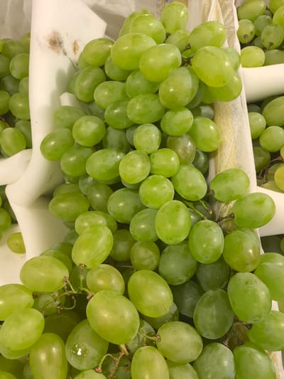 This media file shows a close-up, overhead view of a large cluster of green grapes. The grapes are round to oval in shape and are tightly packed together on their stems. The lighting suggests an indoor setting, likely a market or grocery store, given the presence of white foam padding that appears to be used for display or transport. There are no people visible in the image. The grapes themselves are the sole focus, with some showing a slight sheen, possibly from moisture. The overall impression is of fresh, abundant produce. There is no visible text in the image.