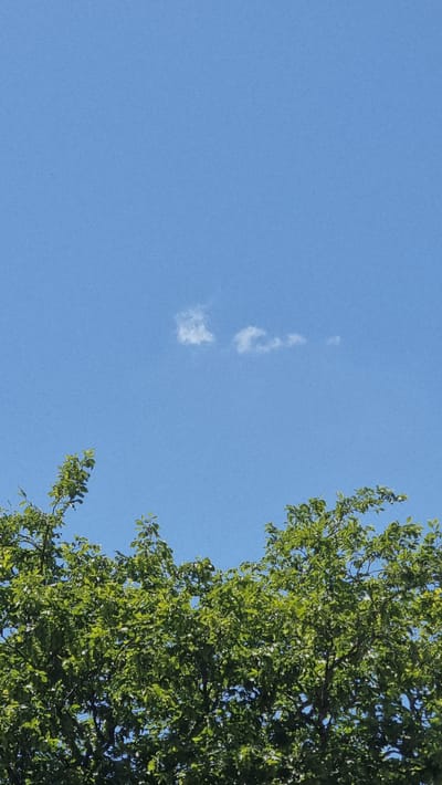 The image shows a clear blue sky with a few wispy white clouds, and the tops of green leafy trees in the foreground. The scene is outdoors and appears to be a bright, sunny day. There are no people or animals visible. The photograph was taken in Heidenheim an der Brenz, Germany.