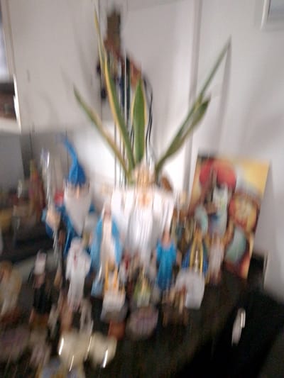This severely motion-blurred indoor photograph captures a collection of objects arranged on a dark surface against a light-colored wall, located in Campo Grande, Brazil. A prominent snake plant (Sansevieria trifasciata) in a pot occupies the central upper portion of the frame, with its green and yellow-edged leaves extending upwards. Below and surrounding the plant is an array of numerous small, indistinct figurines or statues. Recognizable forms include a blue-hatted gnome or wizard figure on the left, several light-colored figures possibly representing religious or angelic subjects, and a figure in blue, potentially the Virgin Mary. To the far right, a rectangular object, likely a framed print or painting, displays blurred warm colors, predominantly reds, oranges, and yellows. The overall scene suggests a decorative display on a table or shelf.