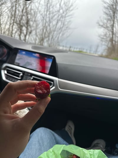 A person is holding a red strawberry in their right hand inside a car. The car's dashboard and infotainment screen are visible, suggesting the location is inside the vehicle. Outside the car window, trees are visible. Based on the limited information, the location in Kozarka, Bulgaria, cannot be confirmed. Further details and contextual information are required to establish the exact location.