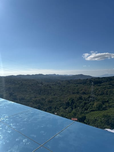 A landscape view shows a lush, dense forest stretching across the midground, transitioning into distant mountains obscured by a hazy horizon. An electrical transmission tower rises within the forest. The clear blue sky contrasts with the greenery. A single, white cloud floats in the sky. A reflective surface, possibly glass, sits on the right, its panels reflecting the sky and possibly obscuring a portion of the view.