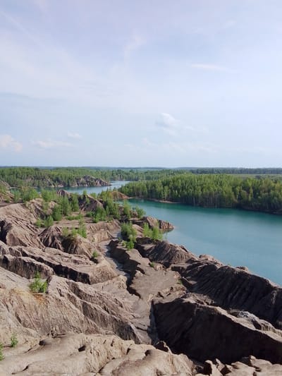 The image shows a landscape featuring a body of water (likely a lake or river) in the city of Uzlovaya, Russia. The foreground consists of uneven, textured terrain with ridges and valleys. The texture and color of the terrain suggest it might be clay or soil. Some small, young trees and vegetation are growing on the terrain. The body of water is surrounded by a dense forest in the middle ground. The sky is overcast with light clouds.