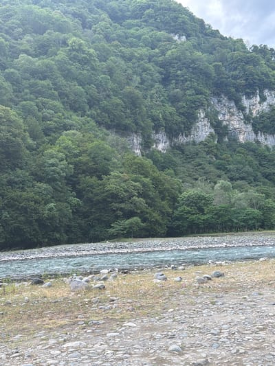 The image depicts a scenic natural landscape. The primary subjects are a lush, densely forested mountain slope and a clear, flowing river. The mountain is covered in a vibrant green canopy of trees, with rocky outcrops visible in places, hinting at its rugged terrain. The river runs alongside the mountain, its surface reflecting the light and appearing somewhat turbulent, suggesting movement. The riverbank is composed of gravel and small stones, with sparse patches of dry grass.

The scene suggests a natural, undeveloped environment. The time of day appears to be daytime, with overcast or diffused lighting conditions, as indicated by the sky and the absence of harsh shadows. The weather seems to be mild, conducive to outdoor scenery. The location cues, combined with the visual elements, point towards a mountainous region with a river running through it.

There are no visible people or man-made objects, emphasizing the wild and untouched nature of the setting. The overall mood evoked is one of natural beauty and tranquility, with a sense of remoteness. The image does not contain any visible text.