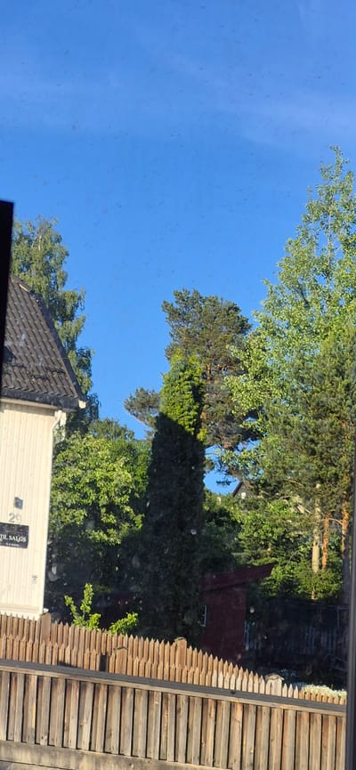 The image depicts an outdoor scene with a clear blue sky and lush green trees. A wooden fence or roof is visible on the right side of the frame, constructed from horizontal planks. In the foreground, a dark-tiled roof of a building is visible. Below this roof, a light-colored wall with horizontal siding is present. A sign is attached to this wall, featuring text that reads "TIL SALGS" and "29." The scene appears to be set in a residential or semi-rural area. The lighting suggests it is daytime, with sunlight casting shadows from the trees. The presence of "TIL SALGS" indicates that a property is for sale. The image has a slightly distorted appearance, possibly due to being taken through a window. The setting is Lillehammer, Norway.