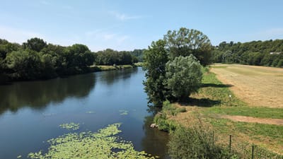 This is an outdoor, landscape photograph taken on a sunny day. The scene depicts a wide, dark river flowing through a verdant landscape. The left bank of the river is densely lined with lush green trees that create a thick forest. On the right bank, there is a transition from grassy terrain to a mown hayfield. Beyond the hayfield, more trees cover the rolling hills in the background, and a clear blue sky with a few wispy clouds dominates the upper portion of the image. Lily pads are visible floating on the surface of the river, particularly in the foreground on the left side. The photograph captures a tranquil natural setting, likely in a rural or semi-rural area, given the absence of urban structures and the presence of extensive greenery. Without further information, it is impossible to determine the exact location within Witten, Germany.