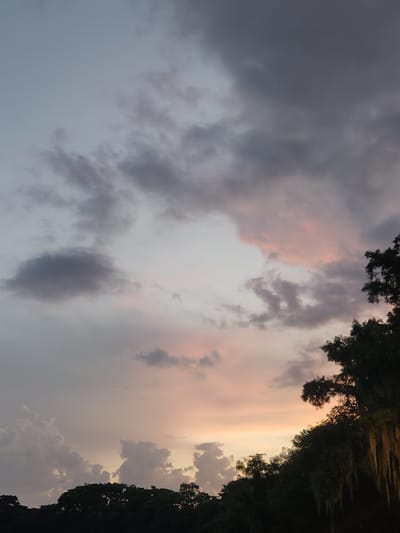 The image shows a sunset over a body of water, likely a lake or river, in Winter Park, Florida, USA. The sky is filled with dramatic clouds, ranging in color from pale gray to soft pink and orange, indicating the sun is setting or has just set. Dark silhouettes of trees, some with Spanish moss hanging from their branches, line the horizon. The trees are lush and indicate a natural, perhaps park-like setting. There are no people or animals visible in the image. The overall mood is serene and picturesque.