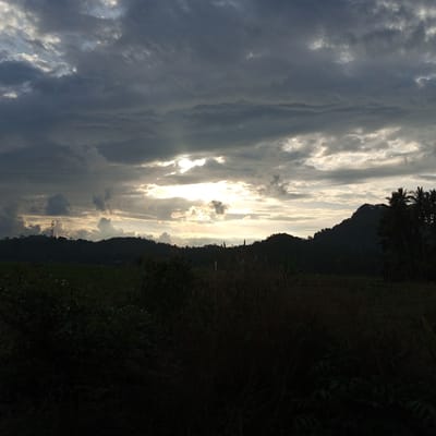 This image, captured in Uleejalan, Indonesia, presents a natural landscape under an overcast sky at either sunrise or sunset. The upper two-thirds of the frame are filled with dense, dark stratocumulus clouds, with a prominent band of bright, diffused sunlight piercing through a break in the clouds across the mid-horizontal plane. This light source creates a luminous effect on the cloud edges surrounding it. The lower third of the image is dominated by the dark silhouettes of hills and mountains, indicating dense vegetation. On the left side, a tall metal structure, consistent with a transmission tower, is silhouetted atop a hill. To the far right, a cluster of palm trees is visible in silhouette. The foreground consists of extremely dark, indistinct vegetation, likely tall grasses and shrubs, obscuring the immediate ground level. No individuals or specific human actions are visible within the frame. The scene conveys a remote, natural environment with dramatic atmospheric conditions.
