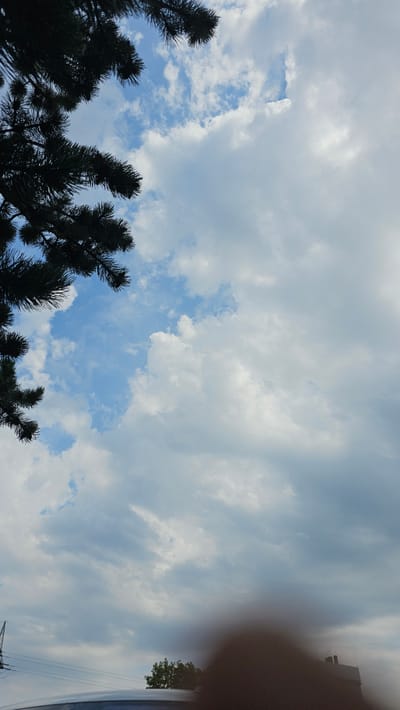 The image shows a view looking upwards towards a cloudy sky, with the dark silhouette of pine tree branches in the upper left corner. The sky is a mix of blue patches and white clouds, with some areas of darker, denser cloud cover. In the lower part of the image, the top of a building with a curved roof is visible, along with utility poles and wires. A dark, blurry area in the foreground suggests a lens obstruction or possibly a person's hand partially covering the camera. The scene appears to be an outdoor environment, possibly in a park or residential area. Based on the information provided, the location is Neu-Ulm, Germany.