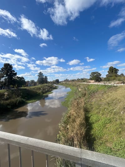 View of a canal in Merlo, Argentina from a bridge. Brown water, dense vegetation, and blue sky with white clouds. Trees line the canal. A grey metal guardrail is visible in the lower right.