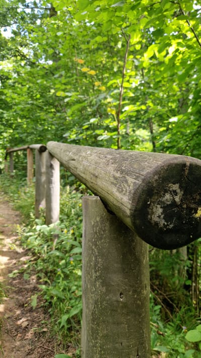 In Embūte, Latvia, a wooden railing follows a dirt path through a lush forest. The railing is constructed from thick, weathered logs supported by vertical wooden posts, several of which are visible in the foreground and receding into the distance. The path is flanked by dense green foliage, with small yellow and purple wildflowers interspersed among the leaves and grass. The sunlight filters through the canopy, creating a dappled effect on the ground and the railing. The image is taken from a low angle, emphasizing the texture of the wood and the surrounding vegetation. There are no people or animals present in the scene.