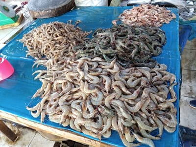 The image shows a pile of fresh shrimp on a blue tarp at an outdoor market in Uruekanoe, Indonesia. The shrimp are arranged in several heaps, with some appearing to be of different varieties. A large wooden cutting board and a pink plastic bowl are also visible. The scene appears to be a vendor's stall, with a focus on the fresh seafood display.